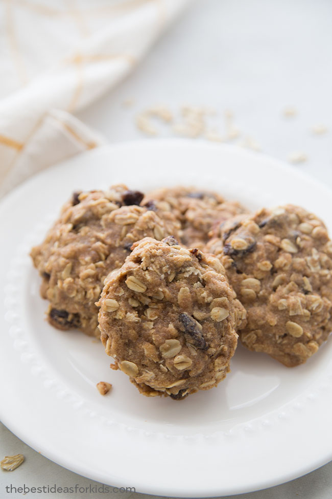 oatmeal raisin lactation cookie recipe 