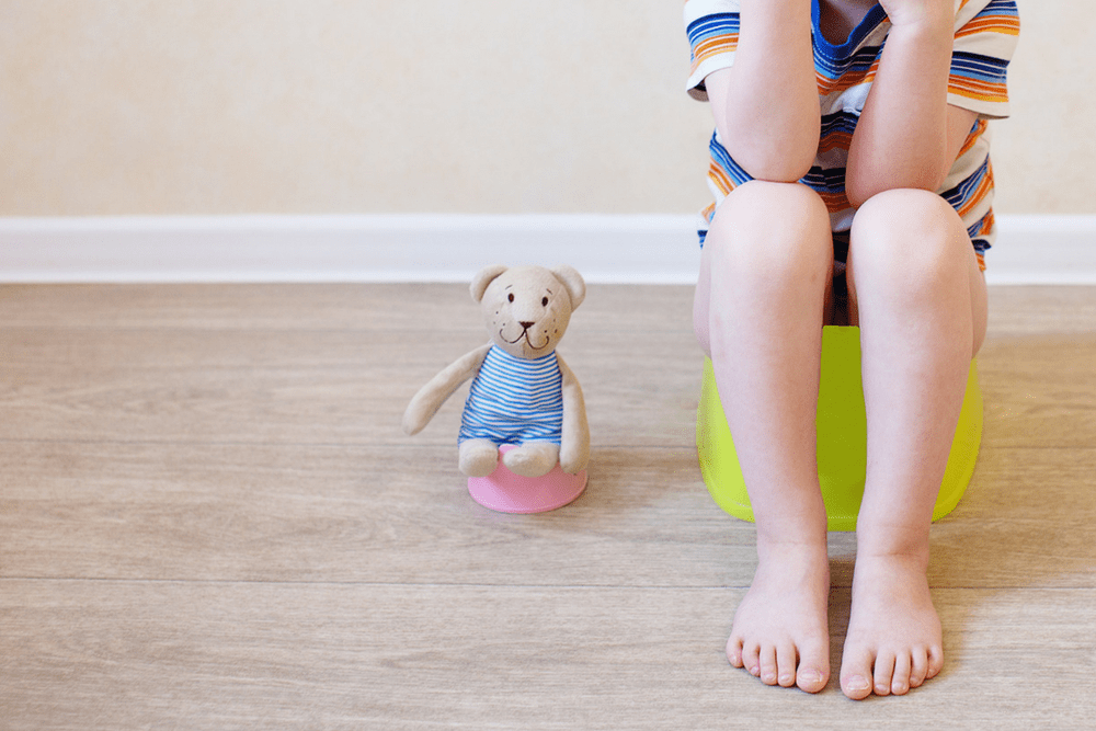 Best Potty Training Tips to Make Toddler Life Easier Pregnant Mama