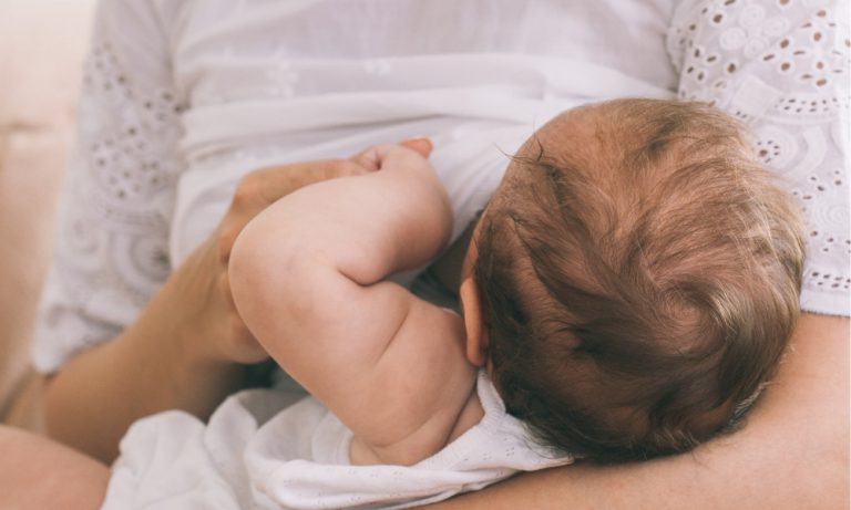 Elderberry breastfeeding facts