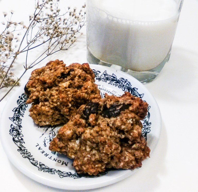 lactation cookie recipes, sugar free