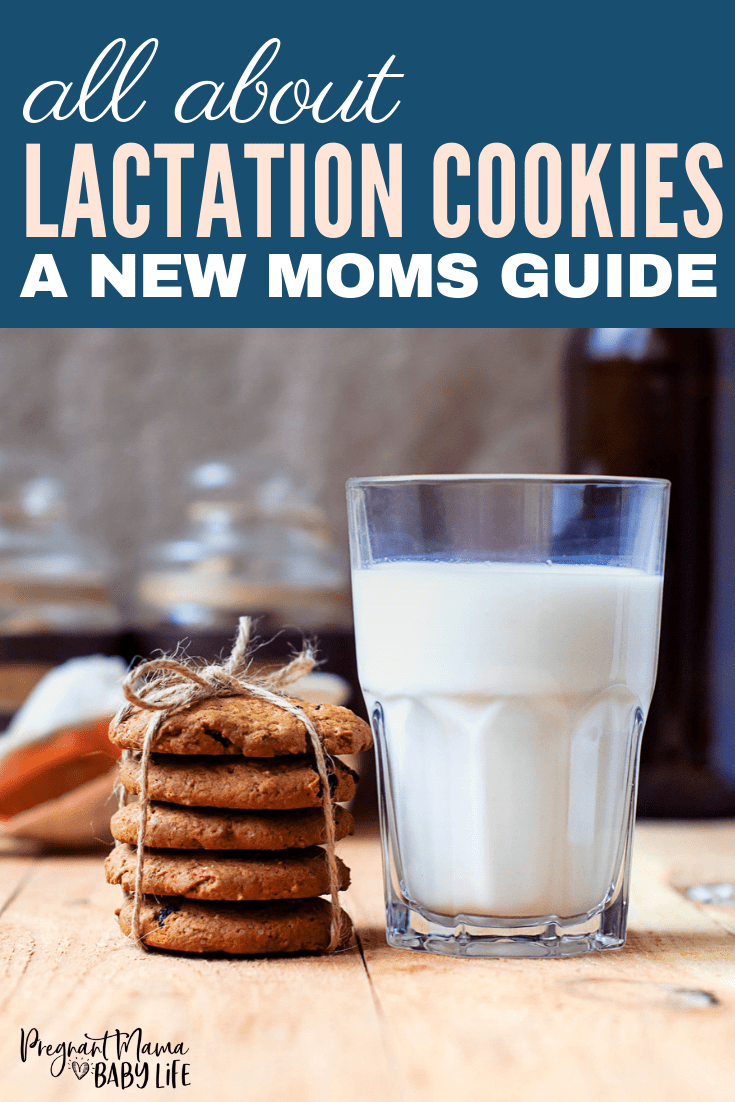 lactation cookie recipe
