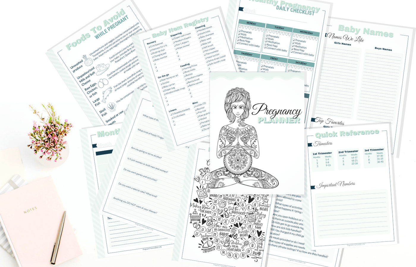 The Ultimate Pregnancy Planner and Journal