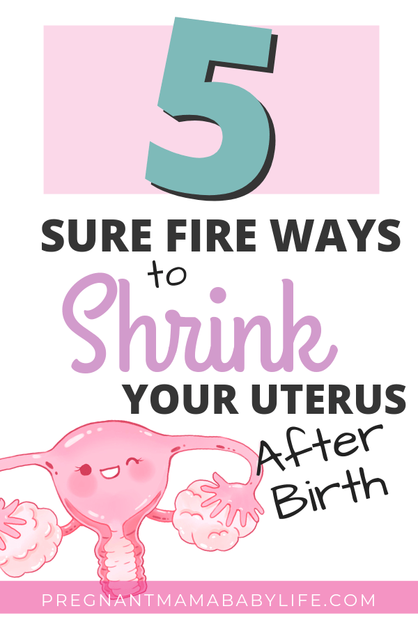 How to shrink your uterus after birth with image of uterus
